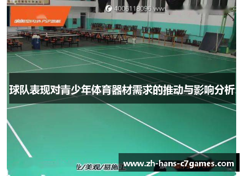 球队表现对青少年体育器材需求的推动与影响分析