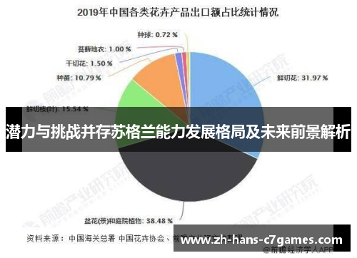 潜力与挑战并存苏格兰能力发展格局及未来前景解析 潜力与挑战并存苏格兰能力发展格局及未来前景解析
